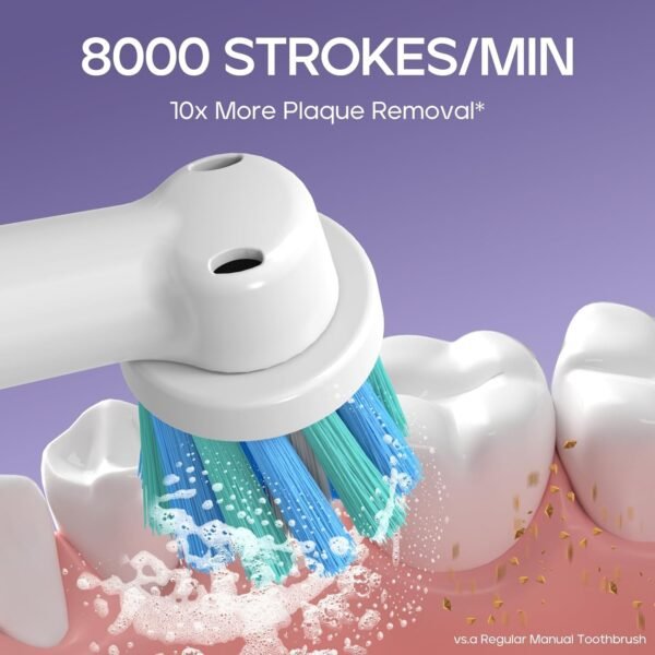SEAGO Round Electric Toothbrush - Image 2